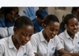 Students studying